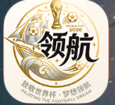领航国际